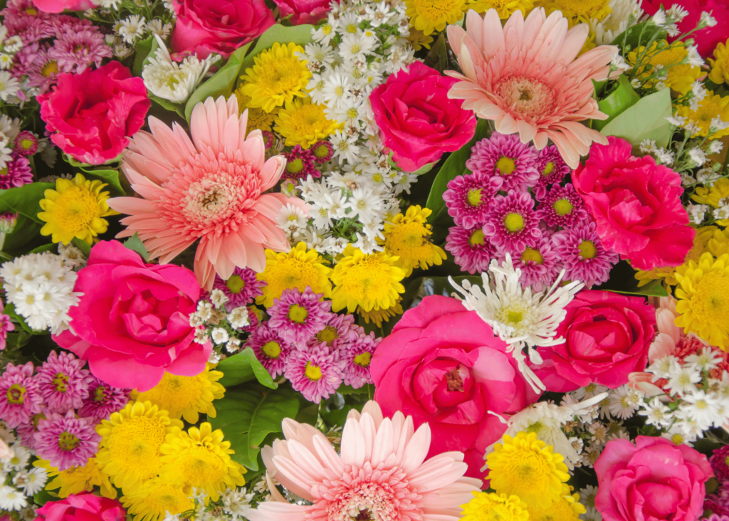 a picture of flowers in pinks, yellows and white