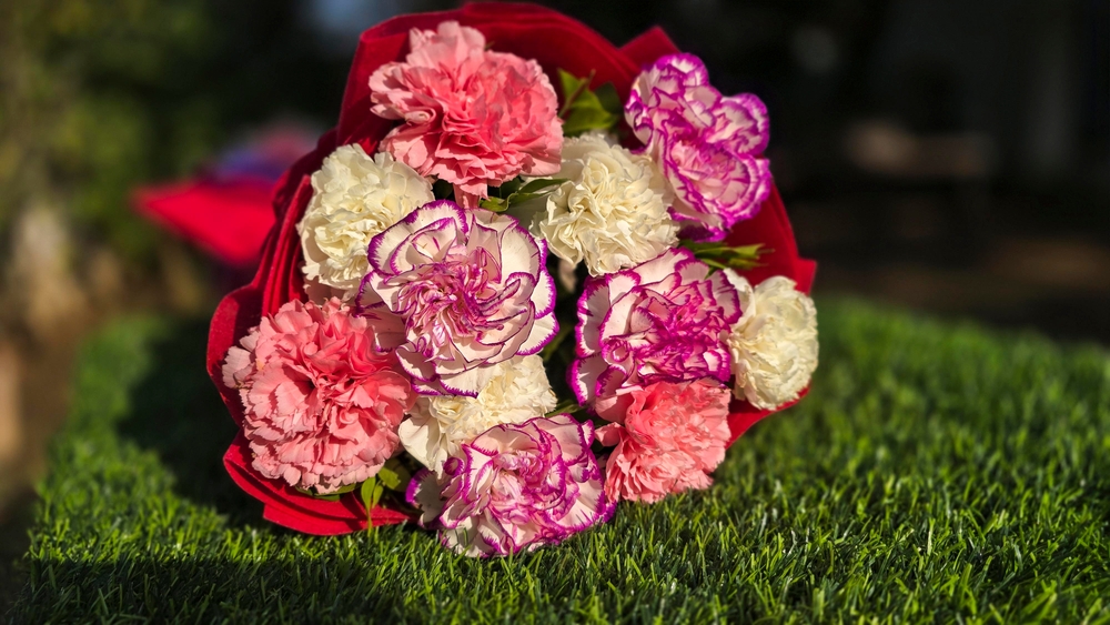 a bouquet of different colored carnations - pink, white, striped