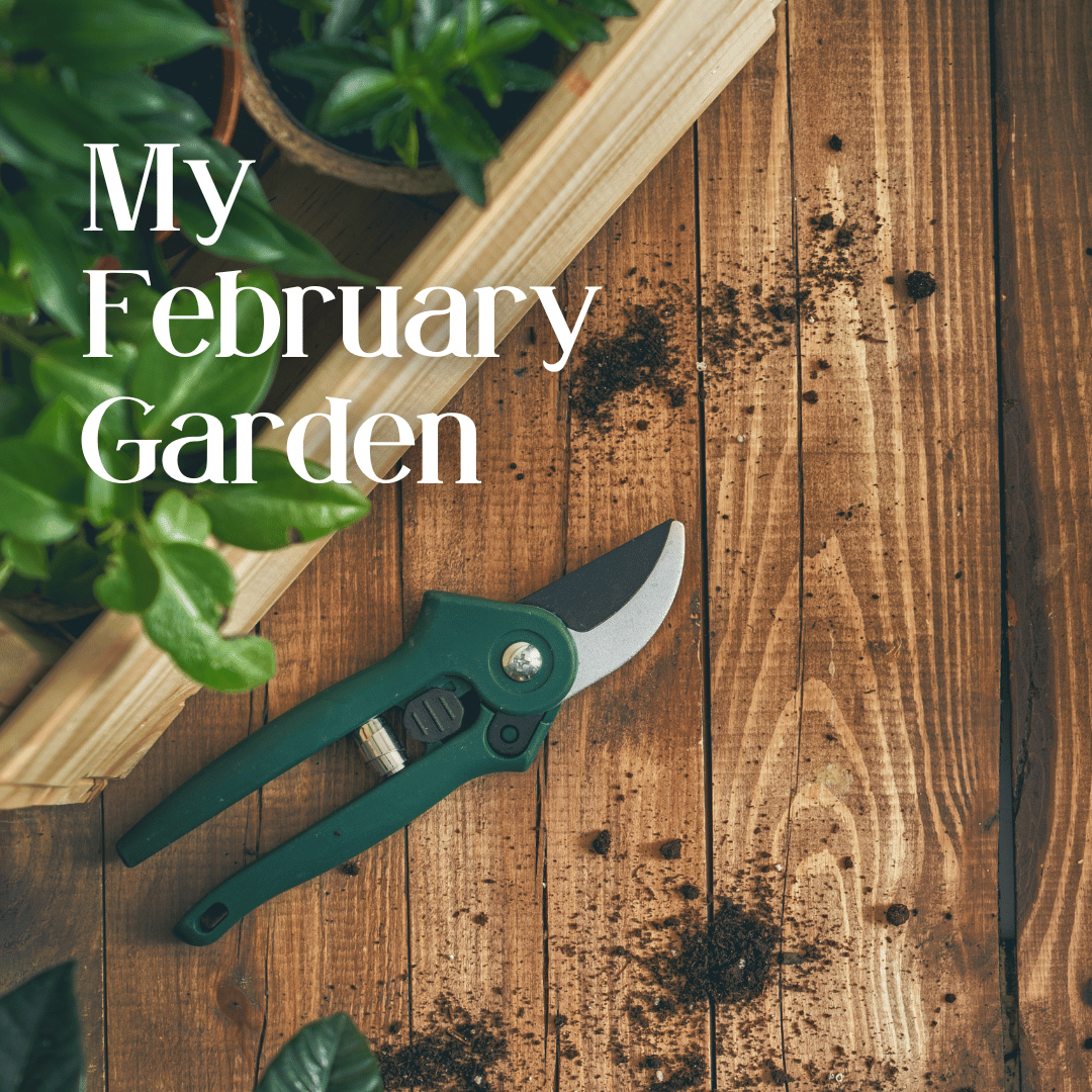 a garden image on a deck with dirt, a box with plants and a pair of sheets